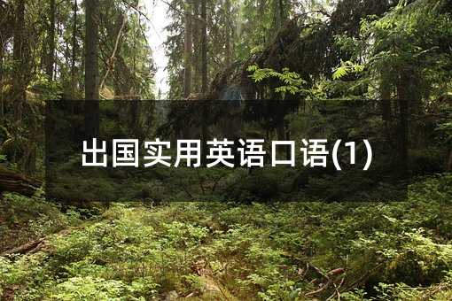 出国实用英语口语(1)