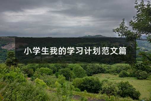 小学生我的学习计划范文篇