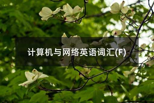 计算机与网络英语词汇(F)