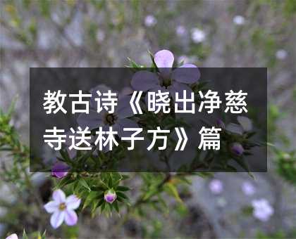 教古诗《晓出净慈寺送林子方》篇