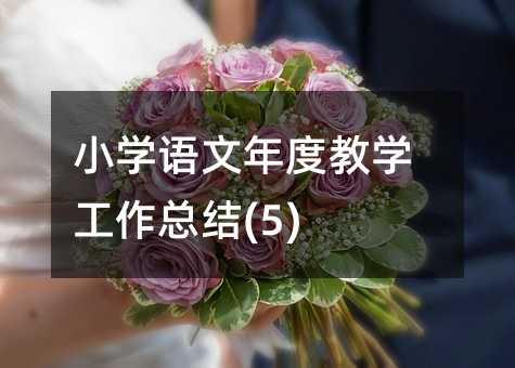 Сѧ������Ƚ�ѧ�����ܽ�(5)