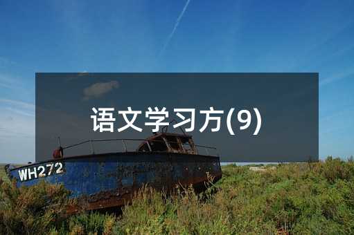 ����ѧϰ��(9)