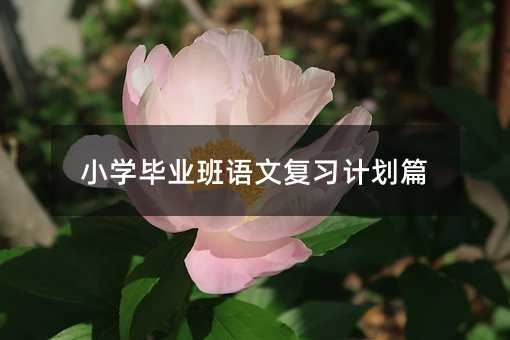 小学毕业班语文复习计划篇