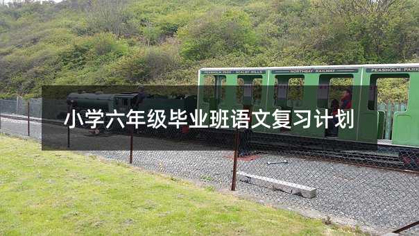 Сѧ���꼶��ҵ�����ĸ�ϰ�ƻ�