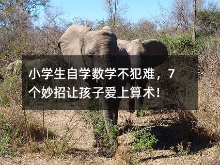 Сѧ����ѧ��ѧ�����ѣ�7�������ú��Ӱ���������