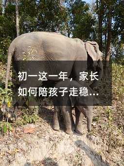 ��һ��һ�꣬�ҳ�����㺢�����ȳɳ���һ��