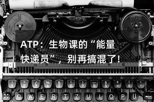 ATP������εġ��������Ա�������ٸ���ˣ�