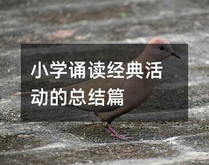 Сѧ�ж��������ܽ�ƪ