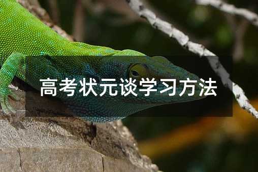 �߿�״Ԫ̸ѧϰ����