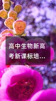 ���������¸߿��¿α���ѵ�ĵ�(2)