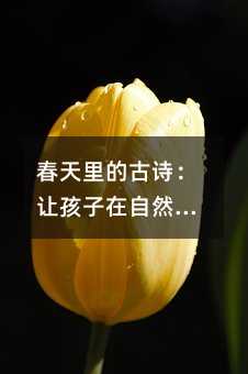 ������Ĺ�ʫ���ú�������Ȼ�д���ʫ��