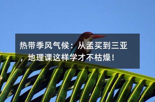 �ȴ��������򣺴��������ǣ�����������ѧ�Ų����