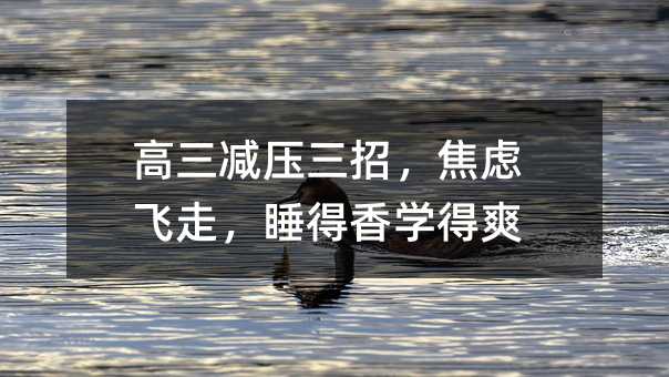 ������ѹ���У����Ƿ��ߣ�˯����ѧ��ˬ