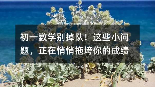 初一数学别掉队!这些小问题,正在悄悄拖垮你的成绩