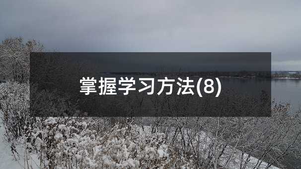 ����ѧϰ����(8)