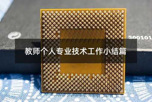 教师个人专业技术工作小结篇