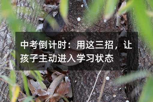 �п�����ʱ���������У��ú�����������ѧϰ״̬