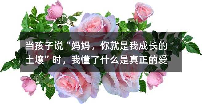 ������˵�����裬������ҳɳ���������ʱ���Ҷ���ʲô�������İ�