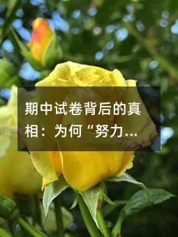 「期中试题背后的真相」为什么“努力”总被“隐形”打败?