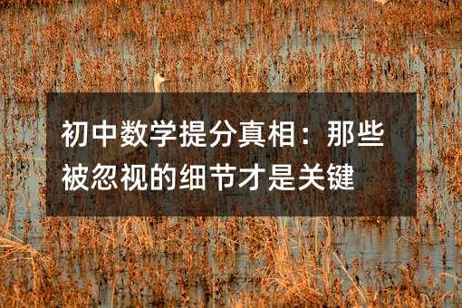 初中数学提分真相:那些被忽视的细节才是关键