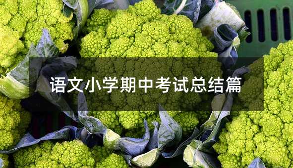 语文小学期中考试总结篇