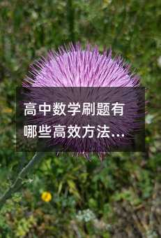 高中数学刷题有哪些高效方法与技巧?