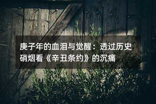 庚子年的血泪与觉醒:透过历史硝烟看《辛丑条约》的沉痛