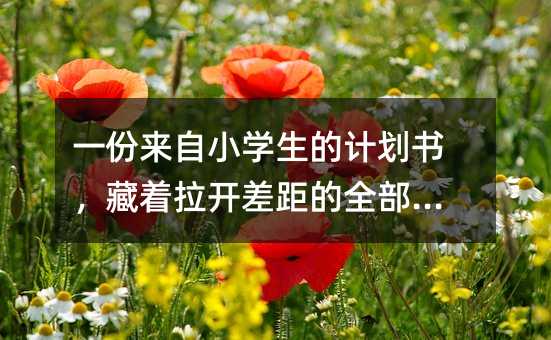 һ������Сѧ���ļƻ��飬������������ȫ������