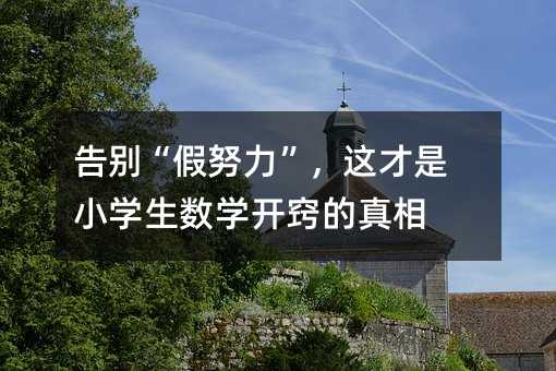 告别“假努力”,这才是小学生数学开窍的真相