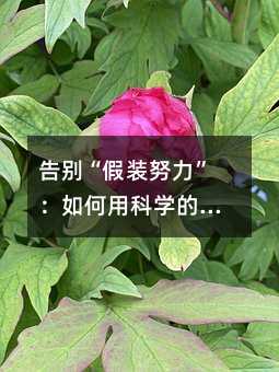 告别“假装努力”:如何用科学的方法重塑英语学习