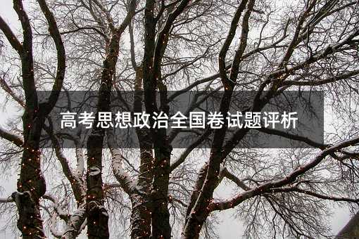 高考思想政治全国卷试题评析