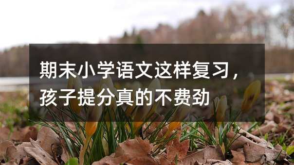 期末小学语文这样复习,孩子提分真的不费劲
