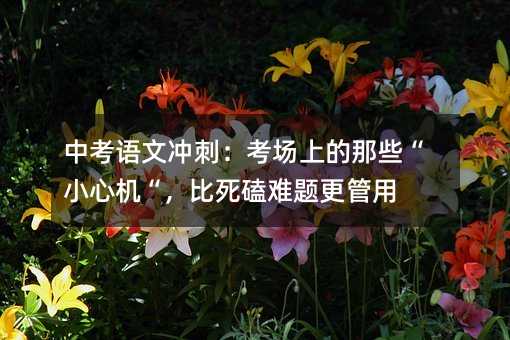 中考语文冲刺:考场上的那些“小心机“,比死磕难题更管用