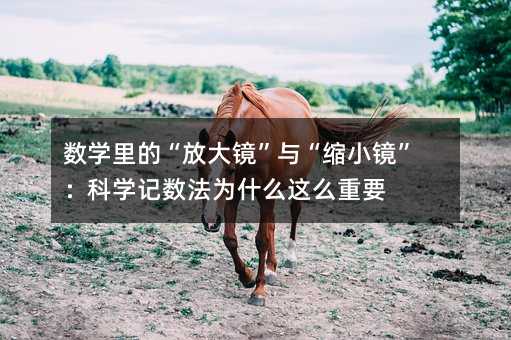 ��ѧ��ġ��Ŵ󾵡��롰��С��������ѧ������Ϊʲô��ô��Ҫ