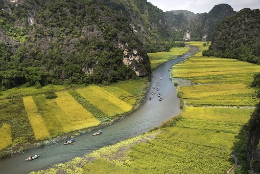 2010年高考特殊类考试在寒假期间举行