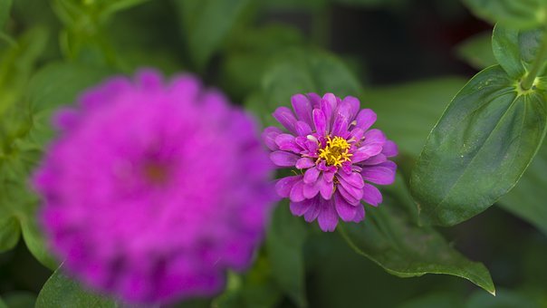 过来人分享:一名优秀的家教老师应该怎么和家长更好的配合?