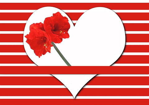 教育中孩子太任性固执的解决办法