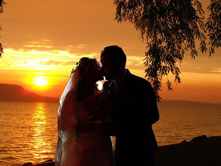 ��ս2012�п�����ѧ��ץ��˫���� Ӣ��ÿ������