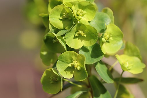 培养孩子的稳定人格