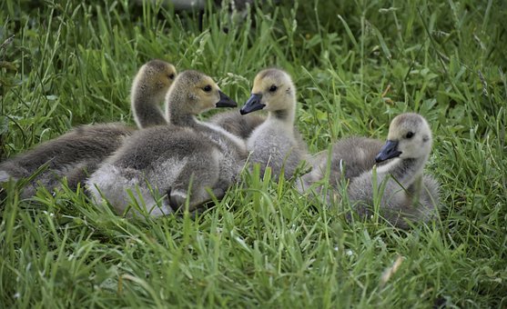 但是,她深信成绩属于过去,从现在开始她还...