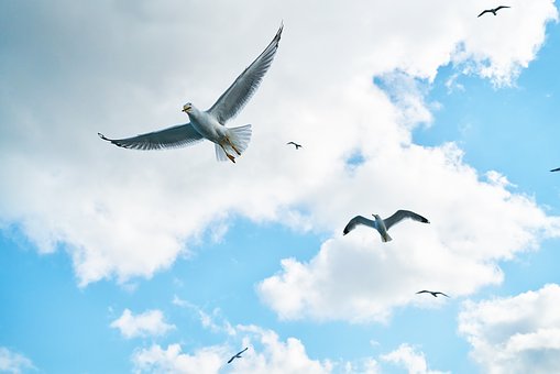 误区四：以偏概全，学习好等于全部好