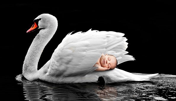 3. 鼓励坚持和认可孩子的努力