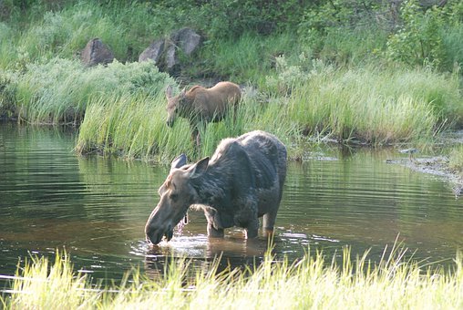 讨论体现了民主的教学氛围和新型的师生关系...