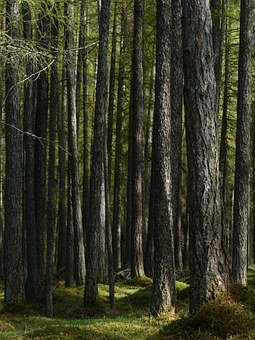 三、加强与小学的联系与交流