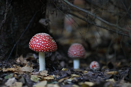 学习化学，需要同学们抓住化学学科的特点，...