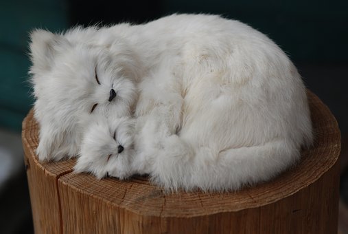 4.由学生和教师组成的评选小组进行评选活动...