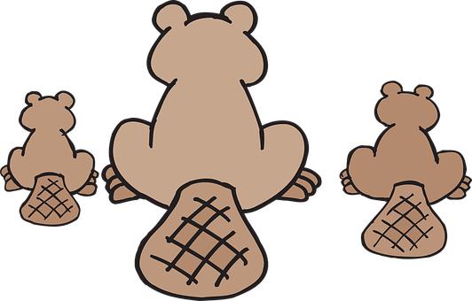 3. 뺢ӹͨ
