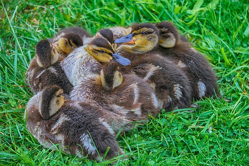 7. 心态调整:保持积极乐观