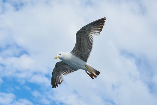 ƪ7ʫ͵ܹʽ