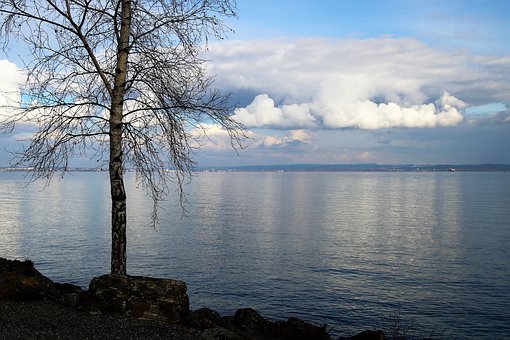 策略篇:降低求胜动机,提高理智水平